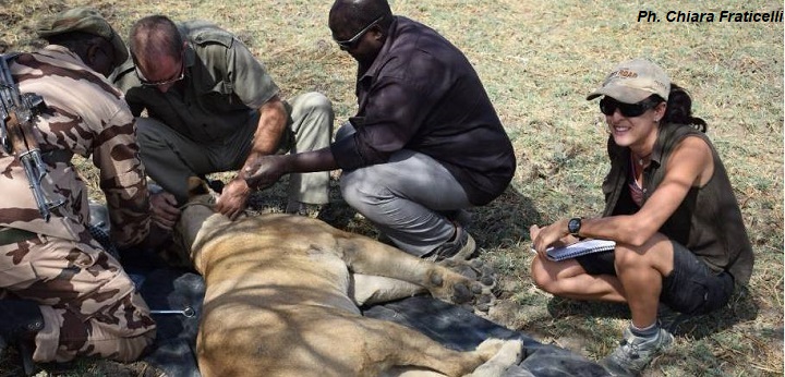 Premiers résultats de l’étude sur les lions et les autres grands carnivores de Zakouma