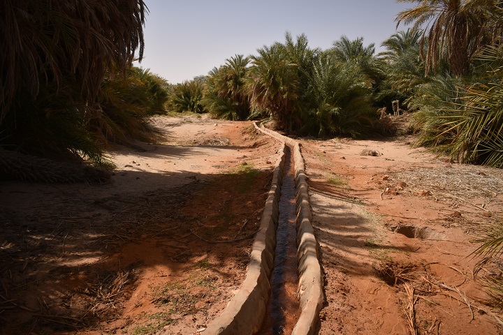 Palissades et canaux d’irrigation de Kirdimi : un exemple d’organisation!